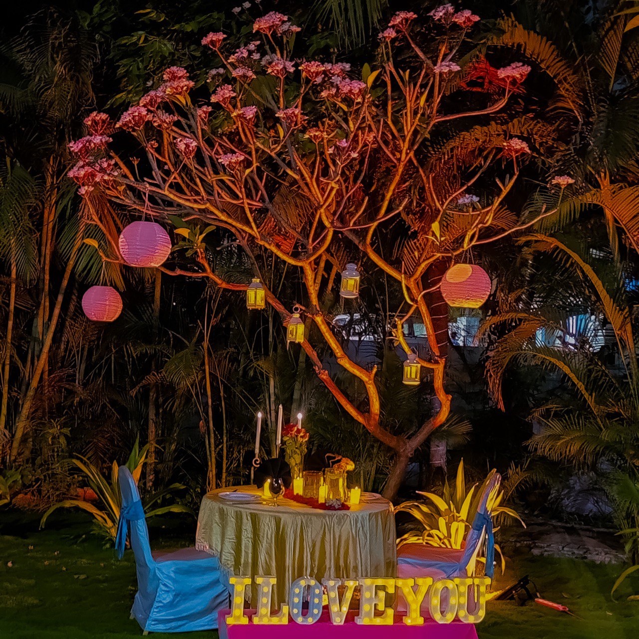 Open garden candle light dinner in Hyderabad with romantic LED light options for birthdays and anniversaries