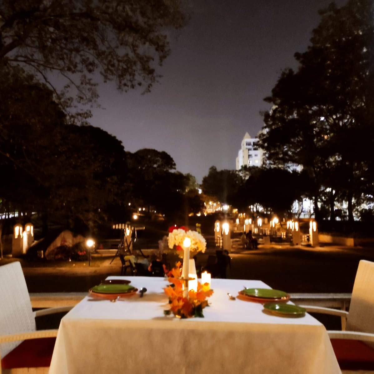 Perfect for Birthdays, Anniversaries, and Romantic Dates: Candle Light Dinner Setup
