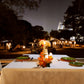 Romantic  Candle Light Dinner at Ellaa Hotel, Gachibowli